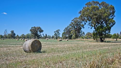 Hay bales on field against sky