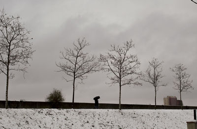 Silhouette bare trees on field against sky 