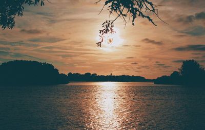 Reflection of trees in water at sunset