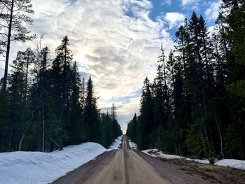 Road amidst trees in forest against sky