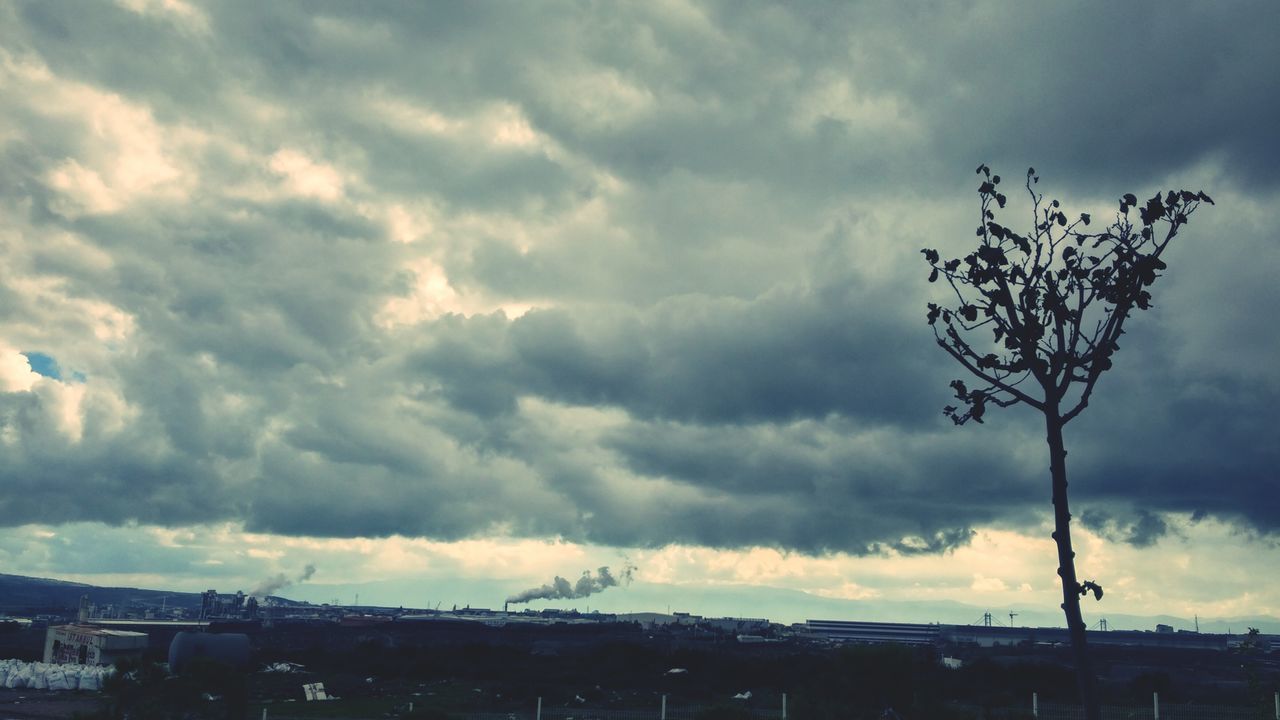 sky, cloud - sky, cloudy, weather, overcast, low angle view, cloud, nature, storm cloud, tree, tranquility, beauty in nature, cloudscape, scenics, built structure, day, outdoors, tranquil scene, no people, dramatic sky