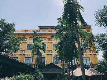 Low angle view of palm trees and buildings against sky