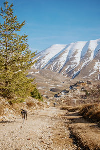 Scenic view of snowcapped mountains against sky with dog 