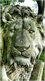 Close-up of statue