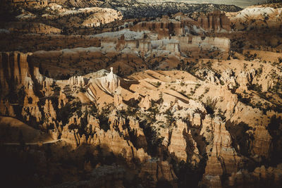 High angle view of trees on landscape