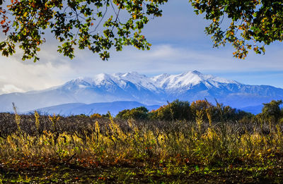 Scenic view of snowcapped mountains against sky