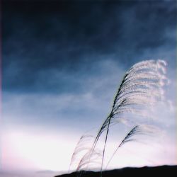 Low angle view of cloudy sky