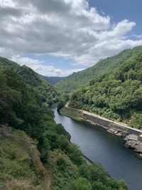 Scenic view of river amidst trees against sky