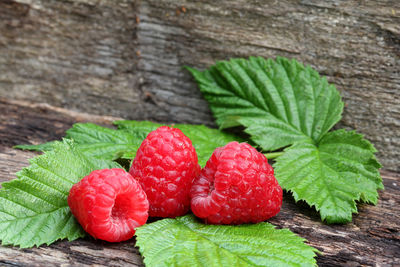 Close-up of raspberries