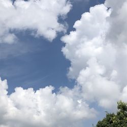 Low angle view of trees against sky