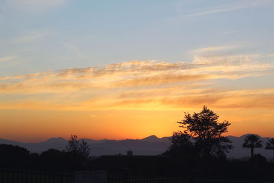 Silhouette trees against sky during sunset