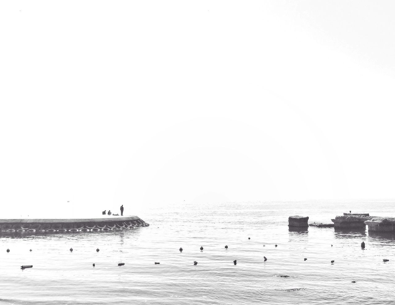 sea, water, clear sky, beach, copy space, bird, horizon over water, tranquil scene, shore, tranquility, scenics, beauty in nature, nature, sand, nautical vessel, incidental people, large group of people, boat, outdoors