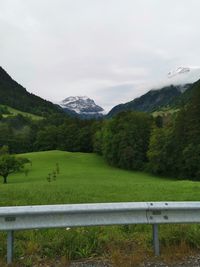 Scenic view of landscape against sky