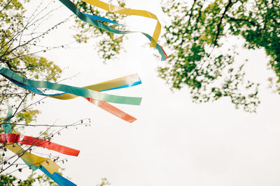 Wish tree with colored ribbons