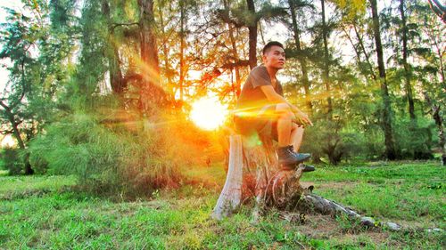 Low angle view of thoughtful man sitting on tree stump against sun streaming at forest