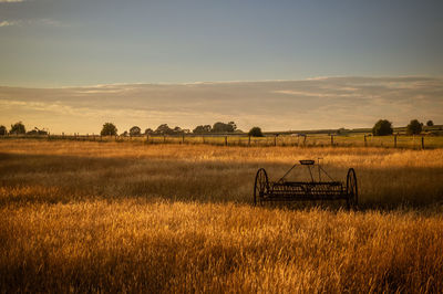 Scenic view of agricultural field against sky during sunset