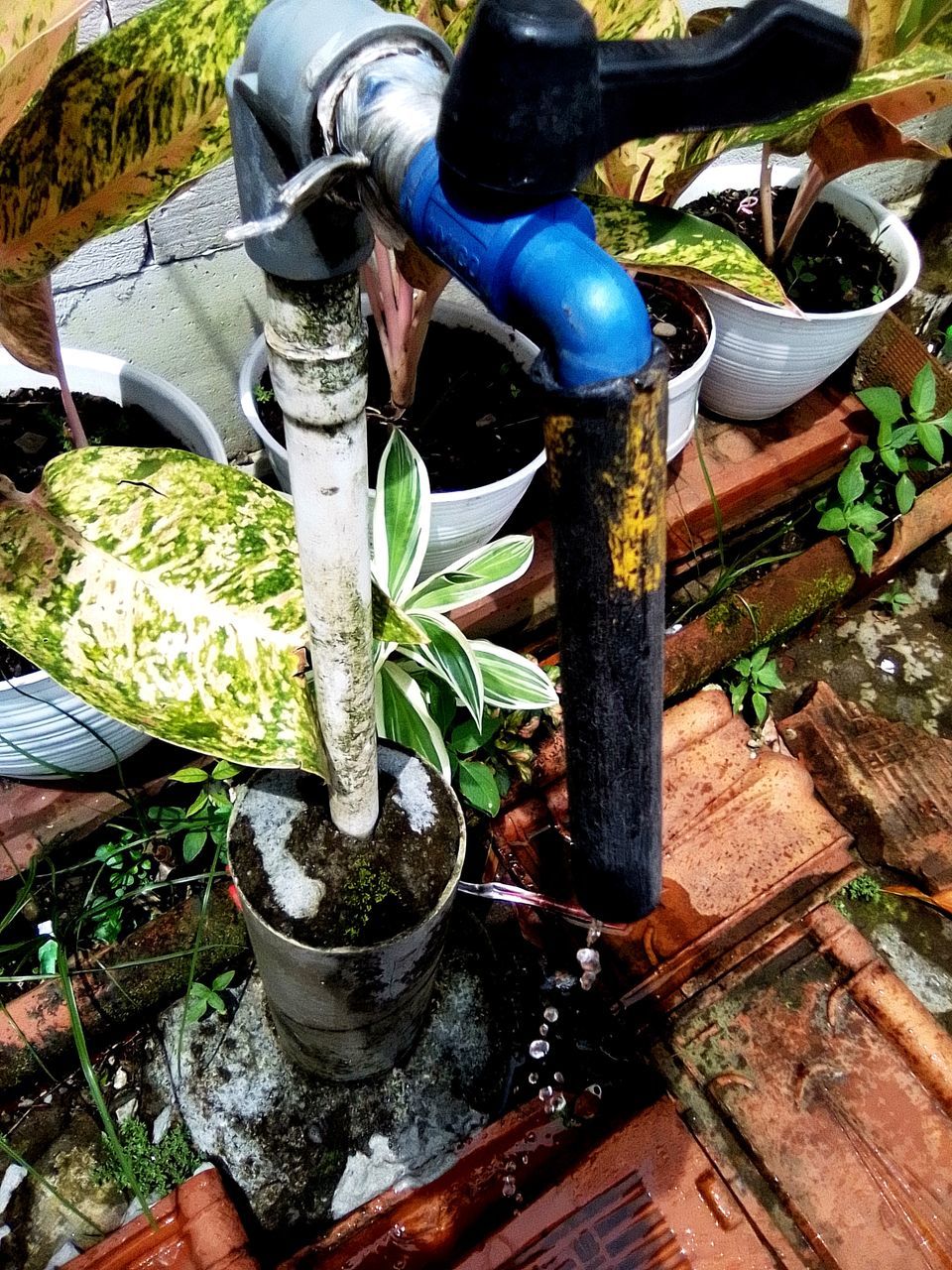 HIGH ANGLE VIEW OF POTTED PLANTS