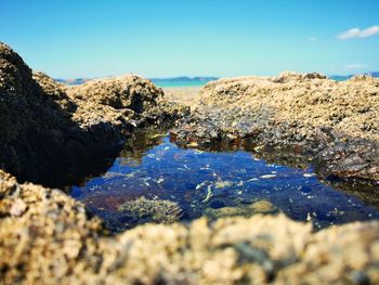 Close-up of rocks in water against sky