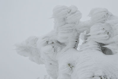 Close-up of snow on shore against clear sky