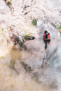 Beautiful spring of japan at kawagoe along shingashi river, boating and sakura cherry blossom