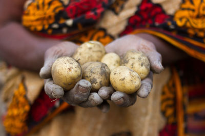 Close-up of woman holding potatoes