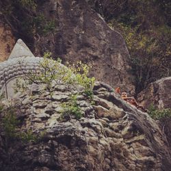 View of rock formation on mountain in forest