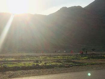Scenic view of field against sky