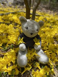 Close-up of stuffed toy