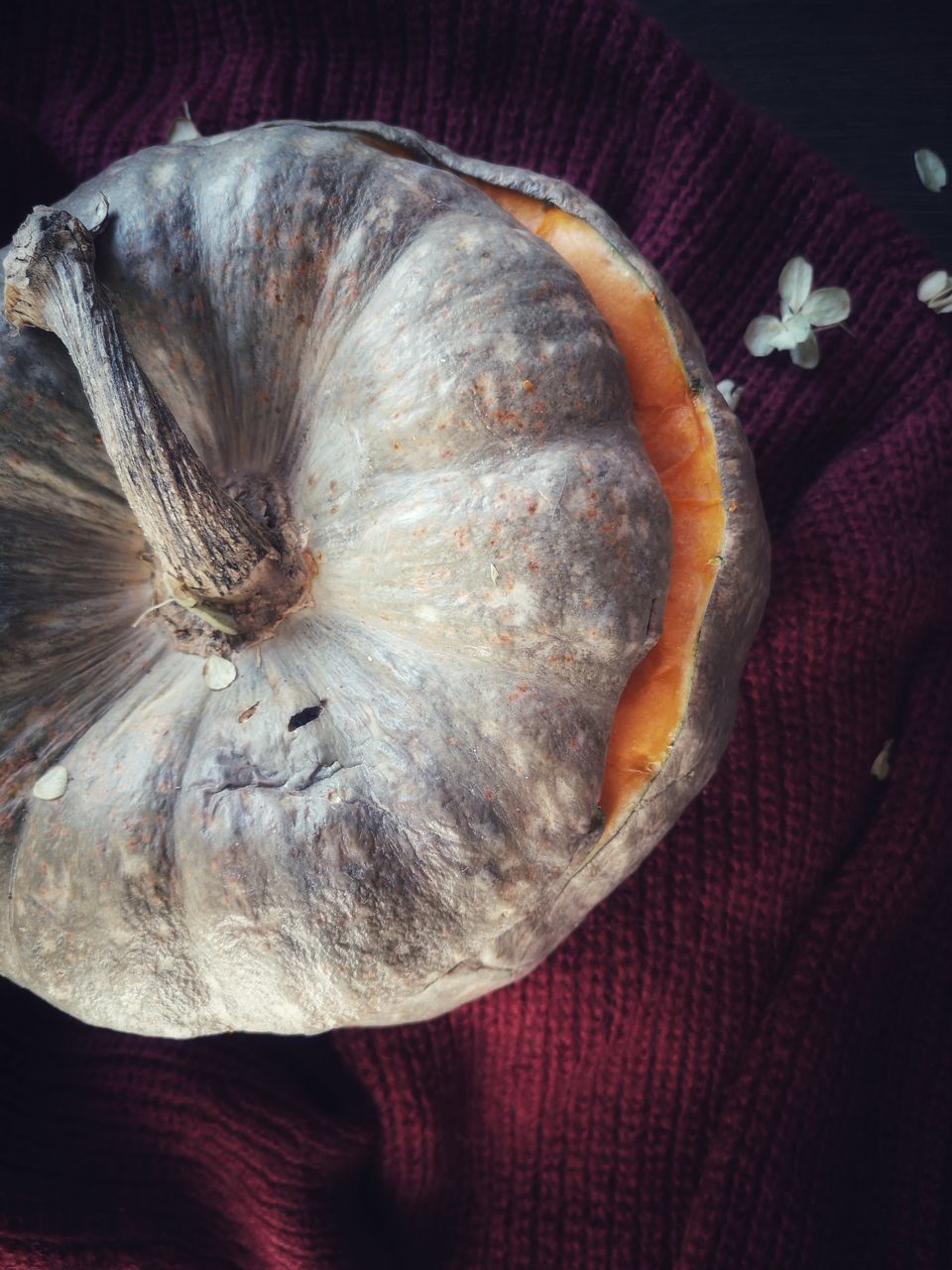 HIGH ANGLE VIEW OF PUMPKIN ON TABLE