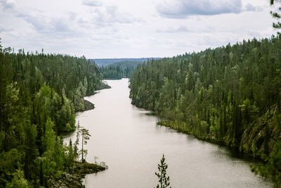 Scenic view of river amidst trees in forest against sky