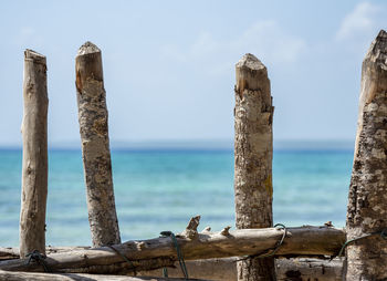 Wooden posts on beach against sky