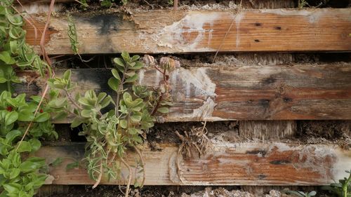 High angle view of wooden fence