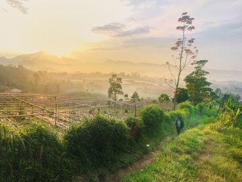 Scenic view of field against sky during sunset