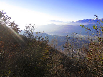 Close-up of fresh green mountain against sky