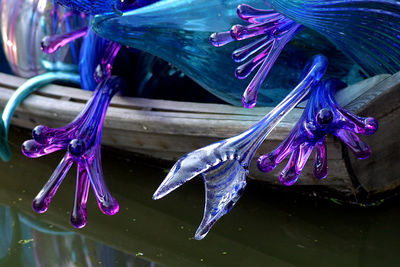 Close-up of fish underwater