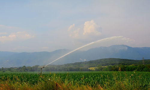 Scenic view of landscape against sky