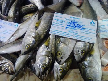 Close-up of fish for sale at market