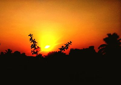 Silhouette trees against orange sky