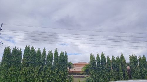 Panoramic view of trees against sky