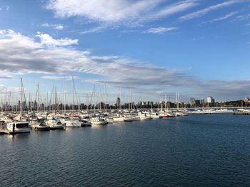 Sailboats moored in harbor