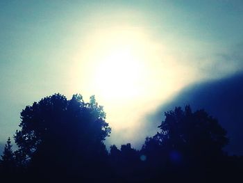 High section of silhouette trees against sky