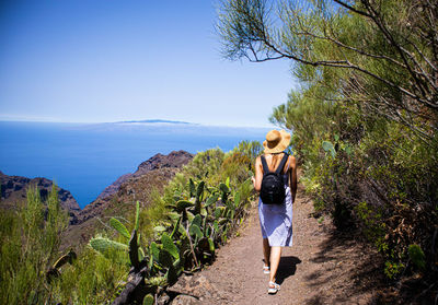 A trip through the mountains ,tenerife, spain, the canary islands