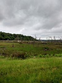 Scenic view of grassy field against cloudy sky