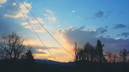 Silhouette trees against sky during sunset
