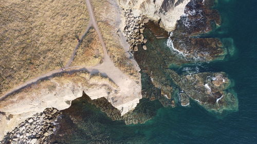 High angle view of turtle in sea