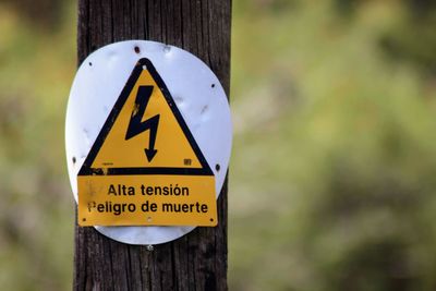 Close-up of warning sign on tree trunk