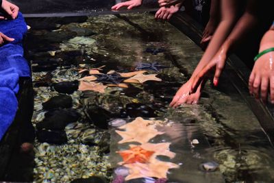 Group of people in fish tank