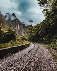 Railroad track amidst trees against sky