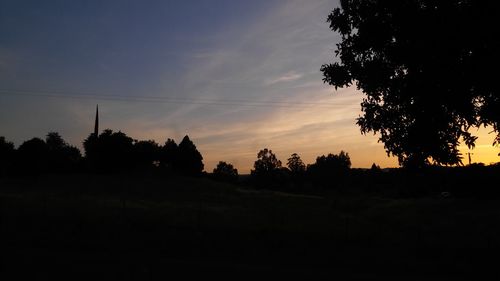 Silhouette of trees at sunset