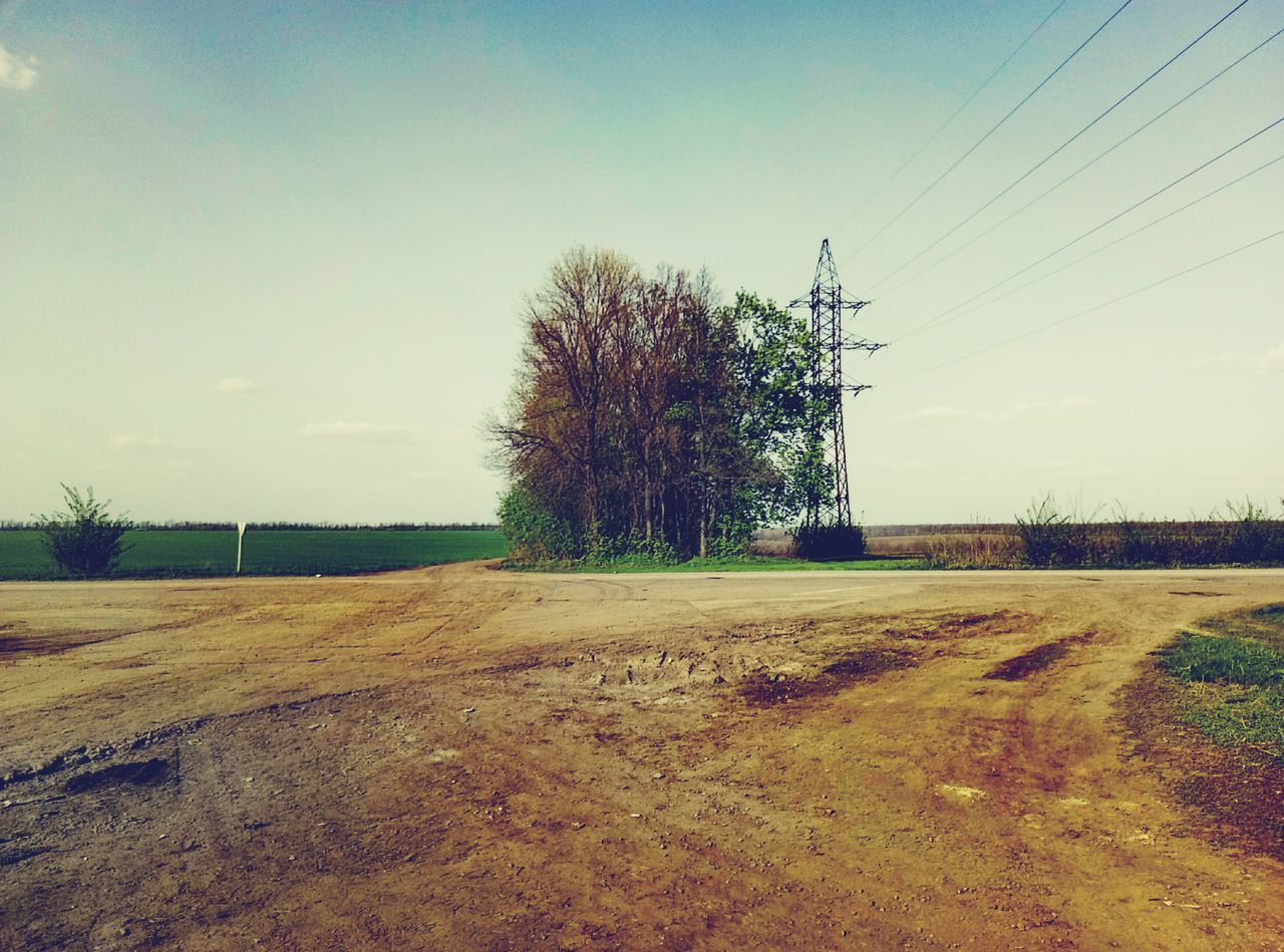 tree, landscape, nature, field, sky, grass, no people, tranquility, beauty in nature, outdoors, scenics, day